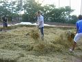 Preparazione campo (15)